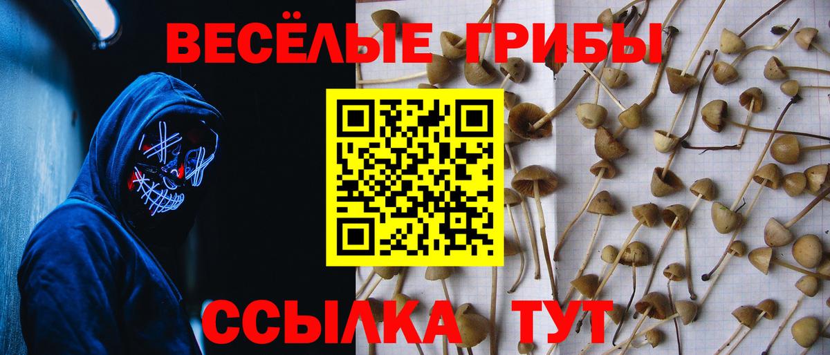 Псилоцибиновые грибы ЛСД  Вход с VPN  Рославль 