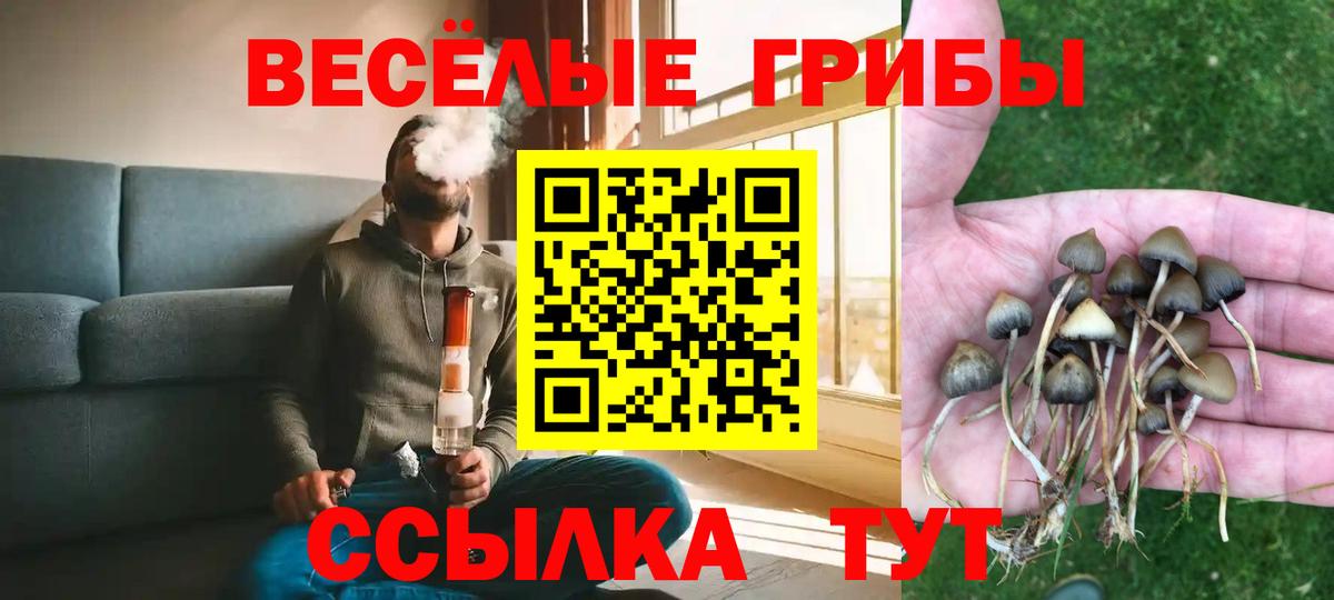 Галлюциногенные грибы Psilocybine cubensis Рославль